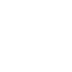 SPADE-w